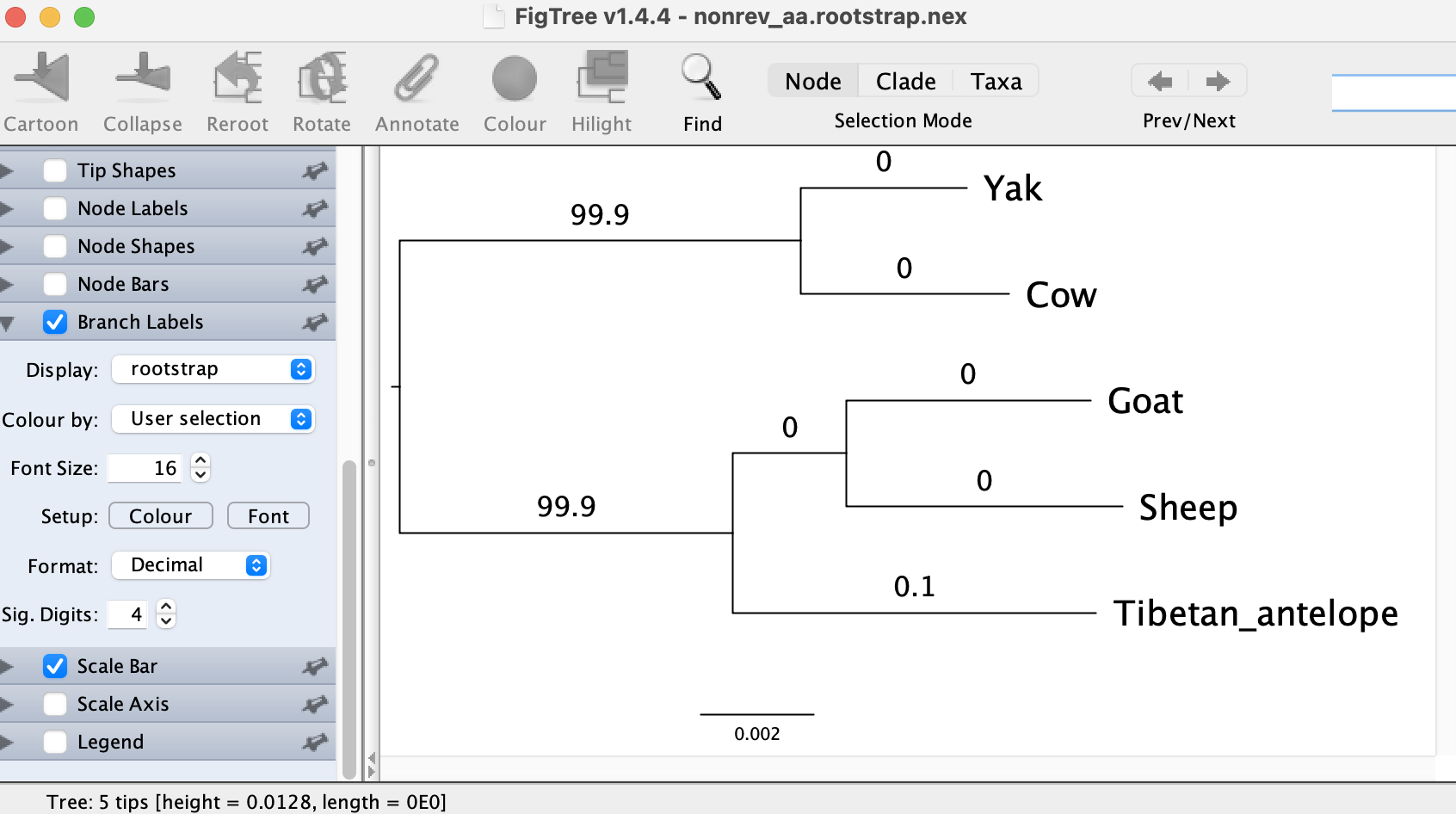 Rooted tree with rootstrap supports using amino-acid nonreversible model